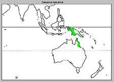 Distribution of the Southern Cassowary