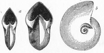 Fig. 53
