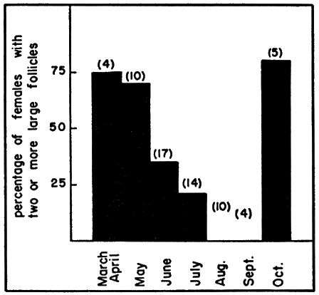 Fig. 5. The seasonal occurrence of enlarged ovarian follicles in females