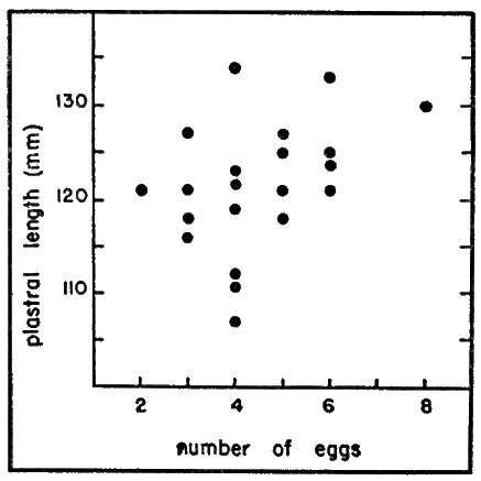 Fig. 6. The relation of plastral length to number of eggs laid