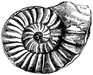 Fig. 90