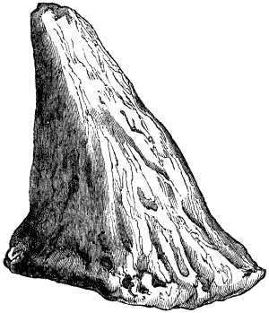 Fig. 139