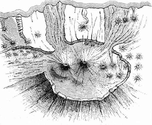 Fig. 5. Plan of the Peak of Teneriffe, showing how it resembles a lunar crater. (A. Geikie.)