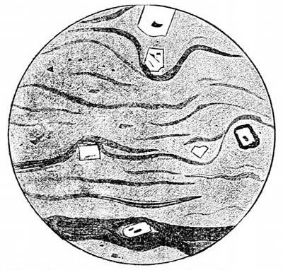 Fig. 44. Slice of volcanic glass under the microscope, showing large included crystals brought up from inside the volcano in the fluid lava. The dark bands are lines of microliths formed as the lava cooled. (J. Geikie.)