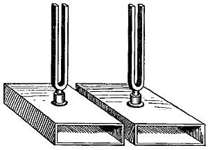 FIG. 174.—When the first fork vibrates, the second responds.