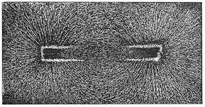 FIG. 224.—Iron filings scattered over a magnet arrange themselves in definite lines.