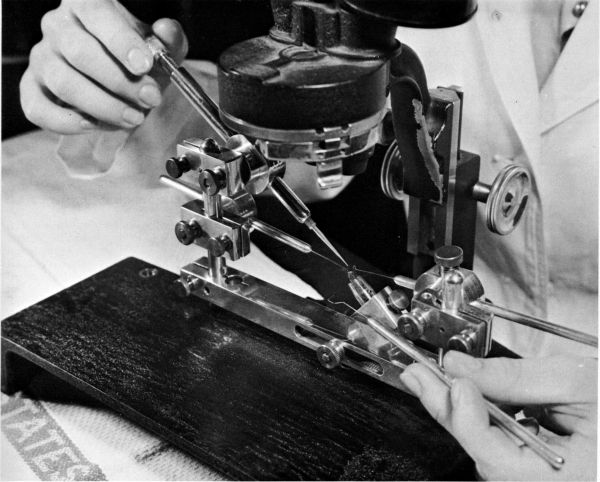Figure 34.--Roberts-Mackensen bee insemination instrument, 1944. (Catalog No. 414.)