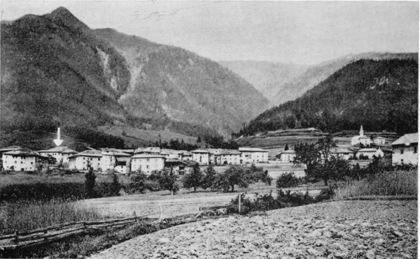 Figure 5.—The village of Mocenigo di Rumo in the valley of the Non. Arrow points to Bertolla's home and workshop at far left.