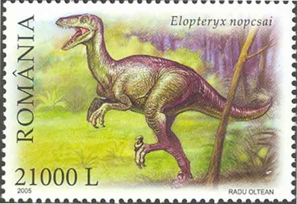 Elopteryx nopcsai