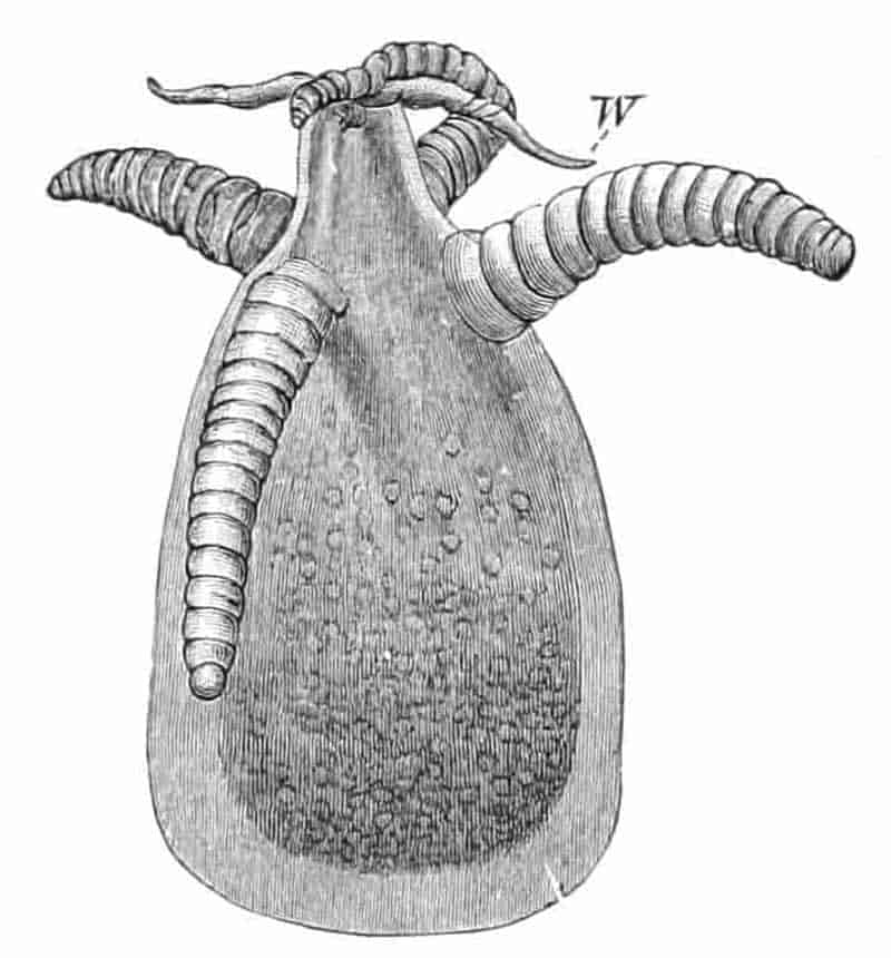 fig138