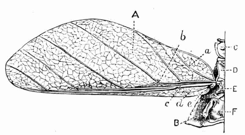 fig156