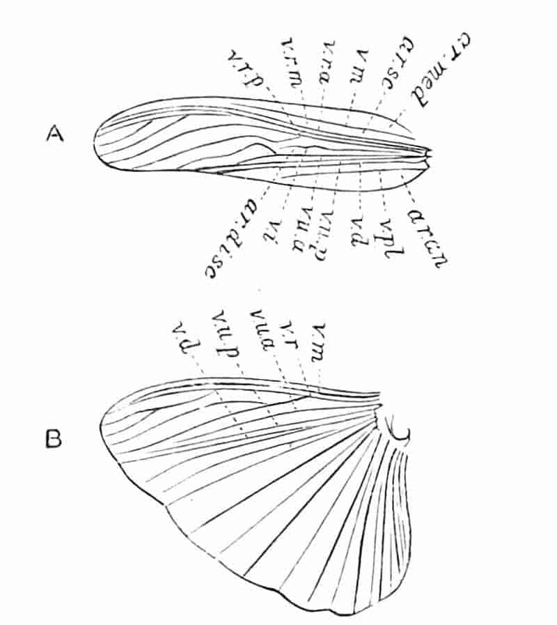 fig167