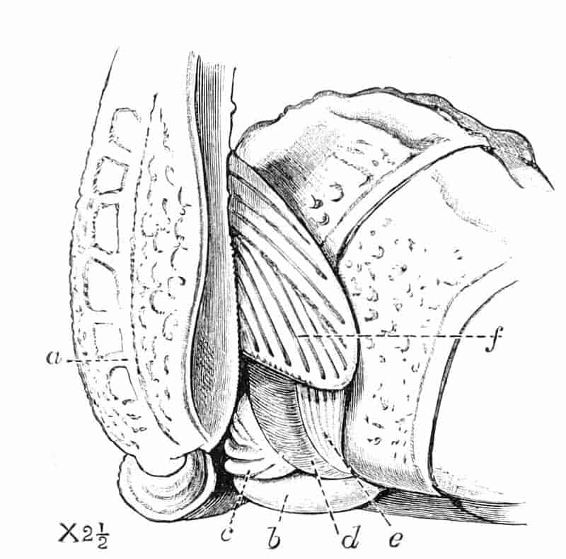 fig186