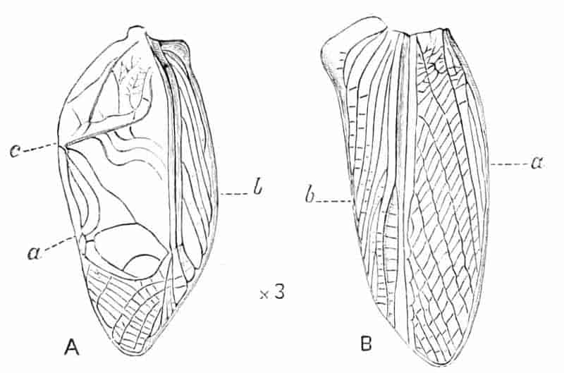 fig205