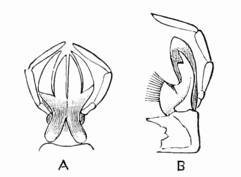 fig226