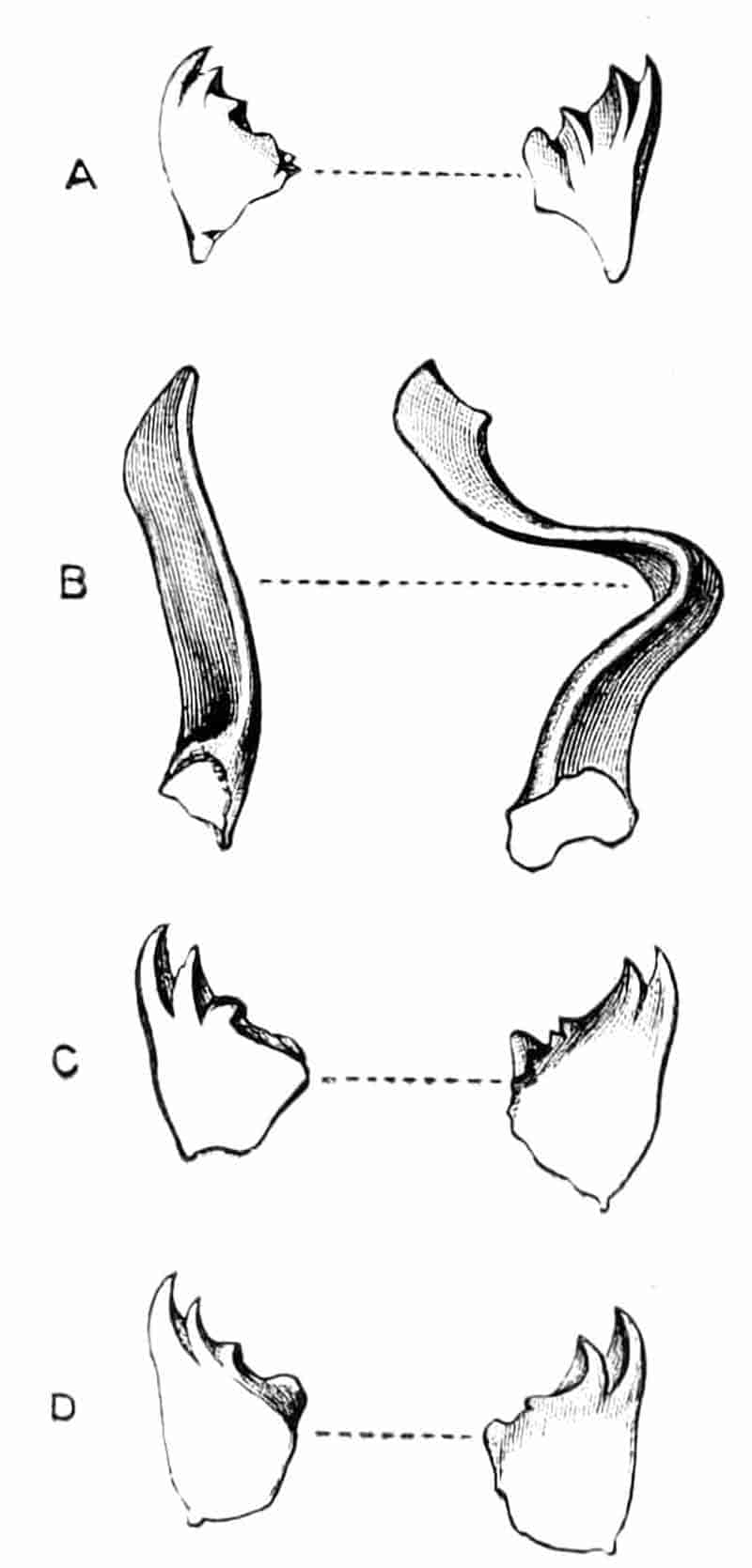 fig233
