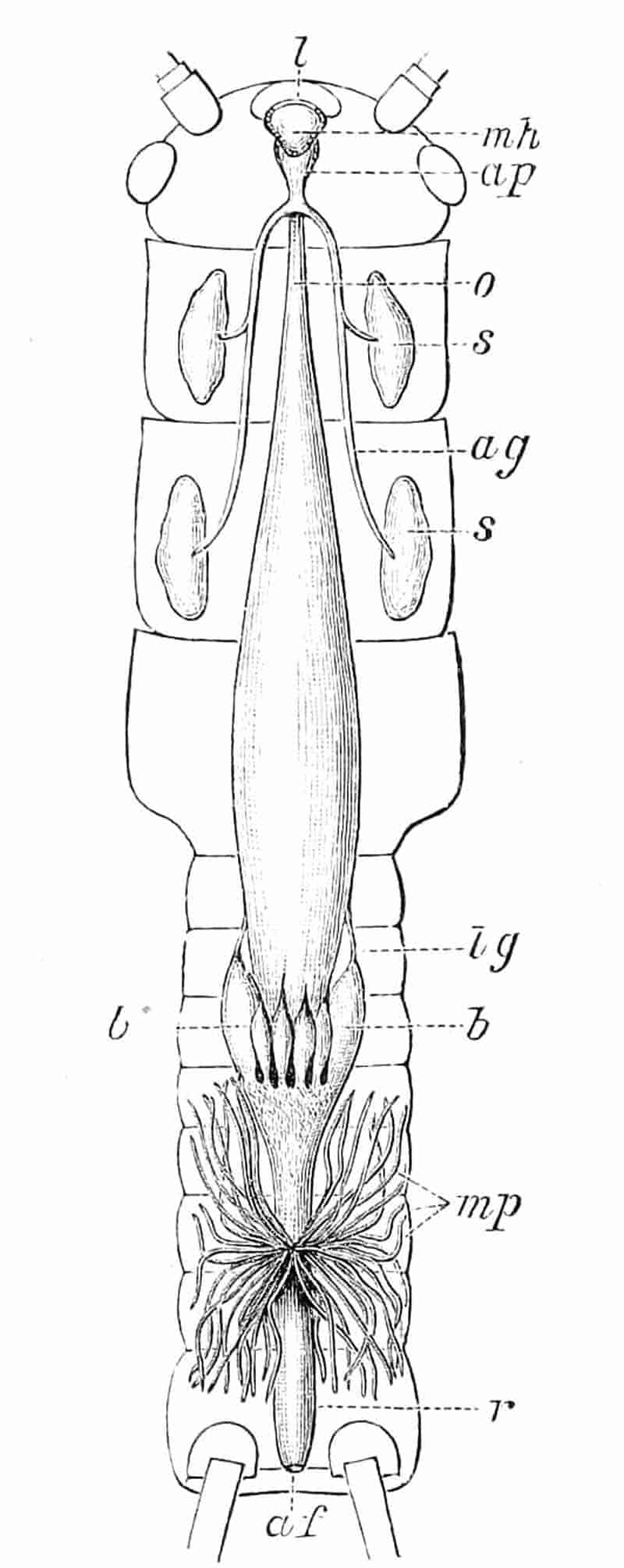 fig255