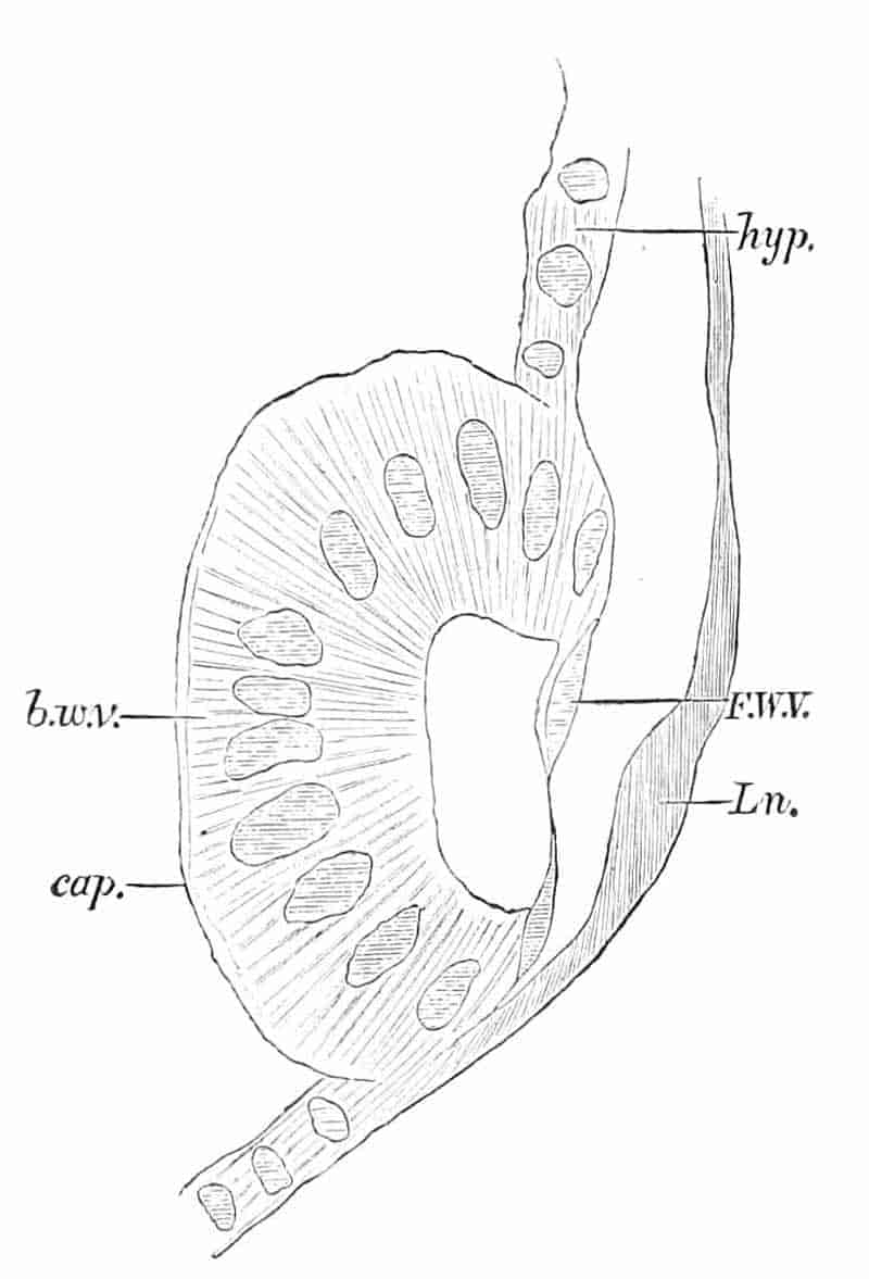 fig44