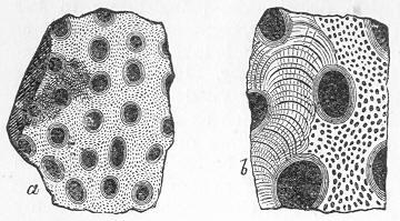 Fig. 90