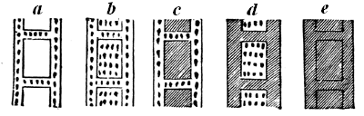 Diagram showing different state of fossilisation of a cell of a tabulate coral.