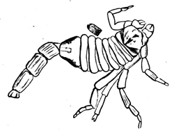 Carboniferous Scorpion.
