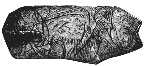 Sketch of a Mammoth, carved on a portion of a Tusk of the same Animal.