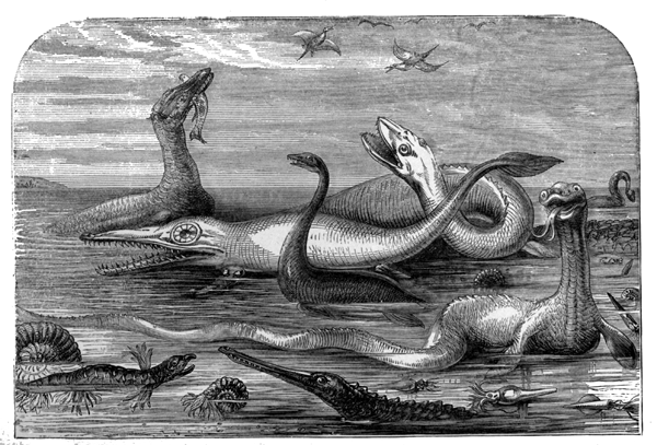 Inhabitants of the English Seas in the Age of Reptiles.