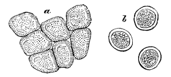 Fig. 108.