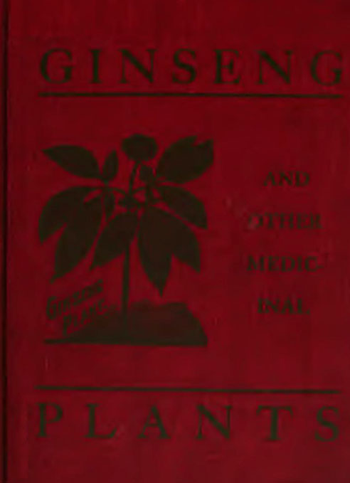 GINSENG COVER.