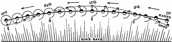 Fig. 2. Diagram showing the moon's course during one month. The moon and the earth are both moving onwards in the direction of the arrows. The earth moves along the dark line, the moon along the interrupted line --. The dotted curved line .... shows the circle gradually described by the moon round the earth as they move onwards.