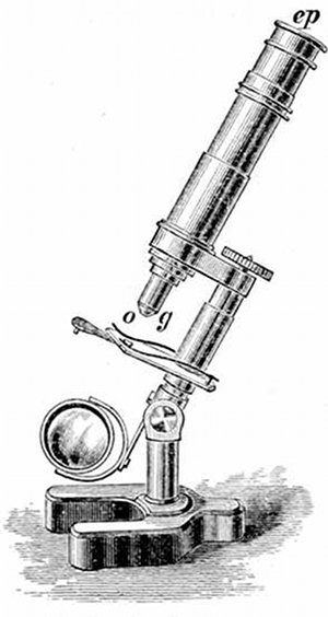Fig. 14. Student's microscope. ep, Eye-piece, o, g, Object-glass.