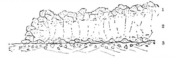 Fig. 40. Section of a lava-flow. (J. Geikie.) 1, Slaggy crust, formed chiefly of scoriæ of a glassy nature. 2, Middle portion where crystals form. 3, Slaggy crust which has slipped down and been covered by the flow.