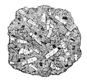 Fig. 43. A piece of Dartmoor Granite, drawn from a specimen.