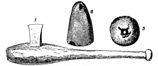 Fig. 80. Neolithic implements. 1, Stone hatchet mounted in wood. 2, Jade celt, a polished stone weapon, from Livermore in Suffolk, ¼ size. 3, Spindle whorl, ½ size.