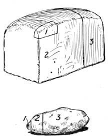 FIG. 36.—Diagram of the composition of a loaf of bread and of a potato: 1. ash; 2, food; 3, water.