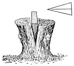 FIG. 107.—By means of a wedge, the stump is split.