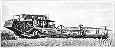 FIG. 129.—Steam harvester at work.