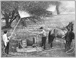 FIG. 143.—Spraying trees by means of a compression pump.