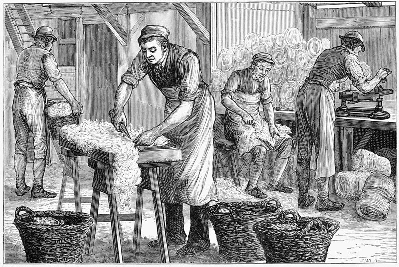 Wool-sorters at Work.