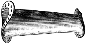 Galloway Conical Tube