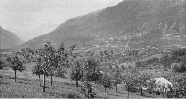 Figure 3.—Panorama of the village of Mechel in the valley of the Non, birthplace of Father Borghesi.